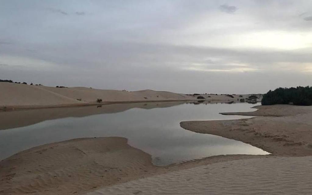 An oasis among sand dunes.