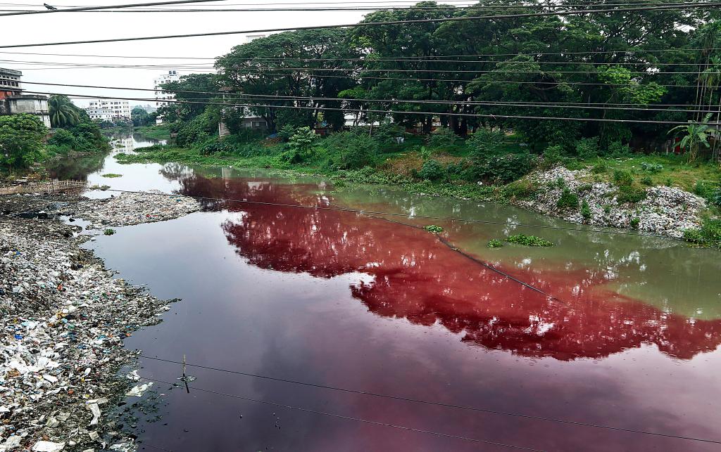 The Karnopara Canal has turned purple due to the discharge of wastewater from nearby Dyeing factories, and commercial waste. Dhaka, Bangladesh, August 2019. 
