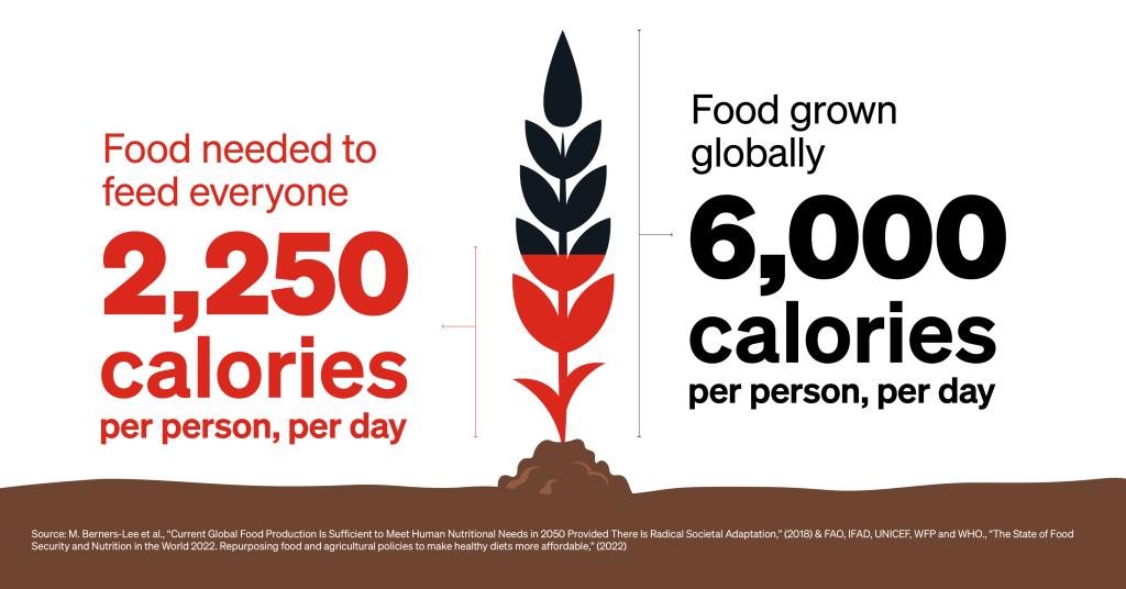 Infographic: Food produced vs food needed